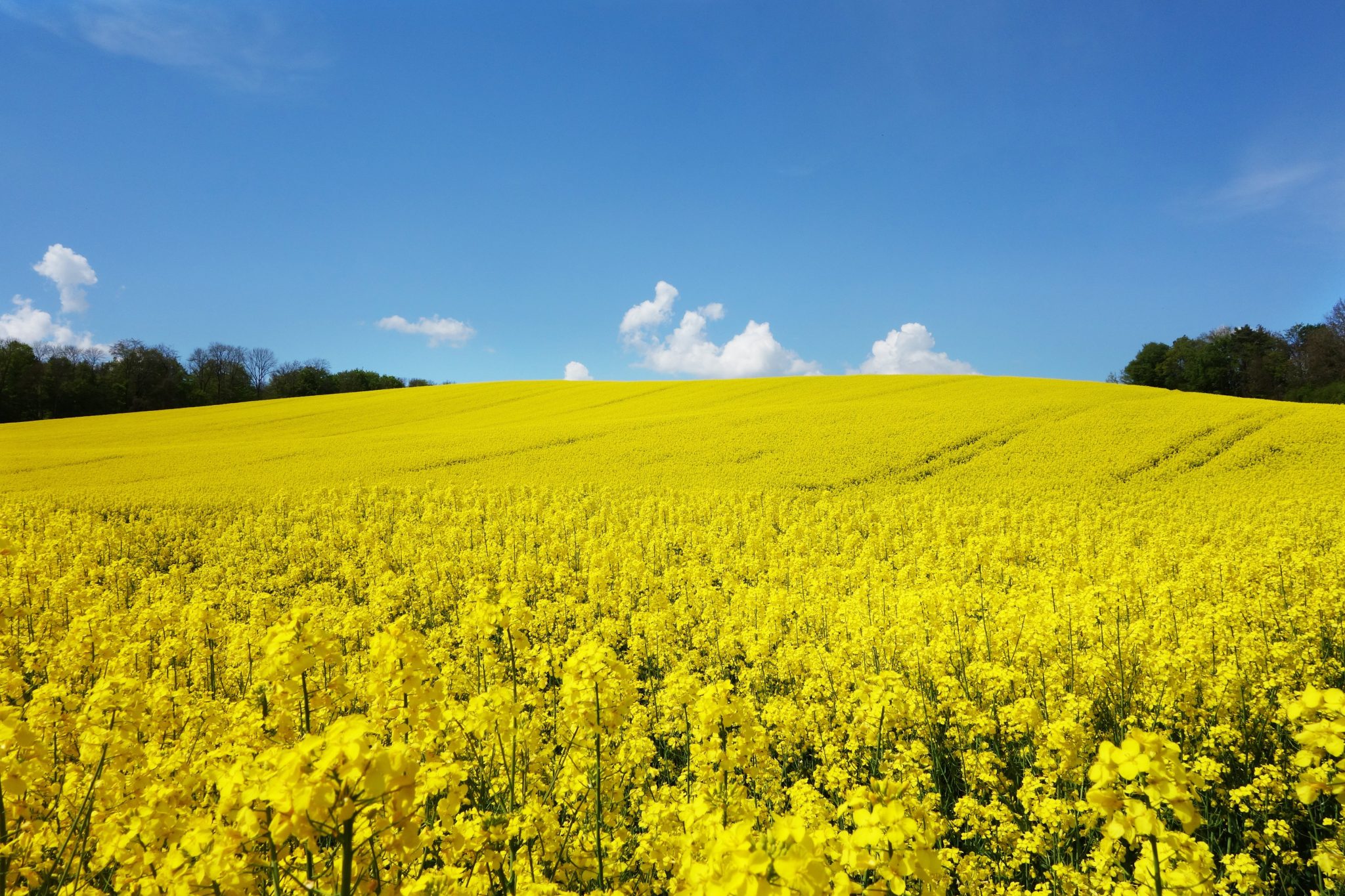 Your Ultimate Guide to Finding a Reliable Ukrainian‑German Translator